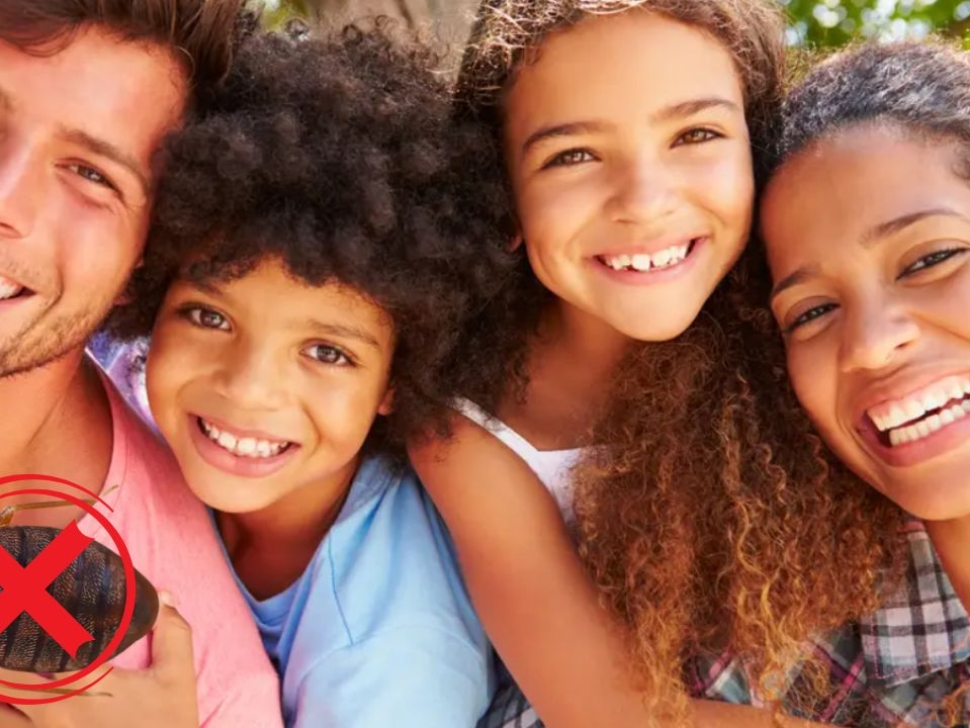 Say Goodbye to Bed Bugs