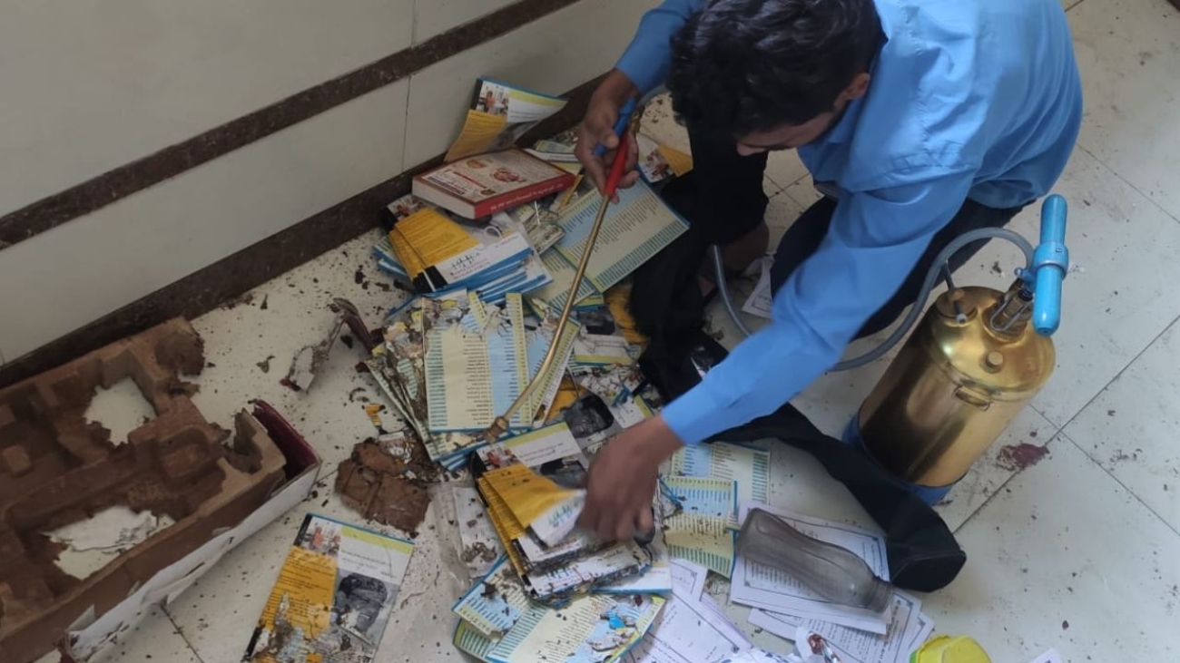 Understanding Pest Behavior Key to Effective Pest Control